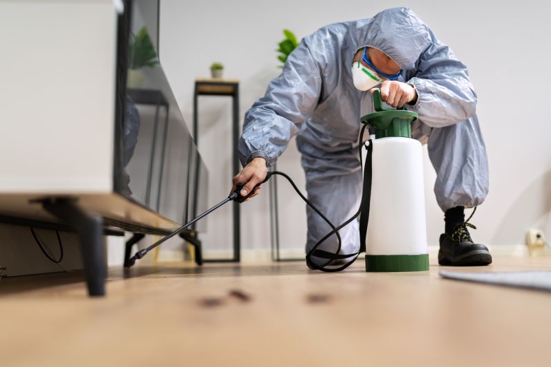 Spider Fumigation Service in Phoenix, AZ
