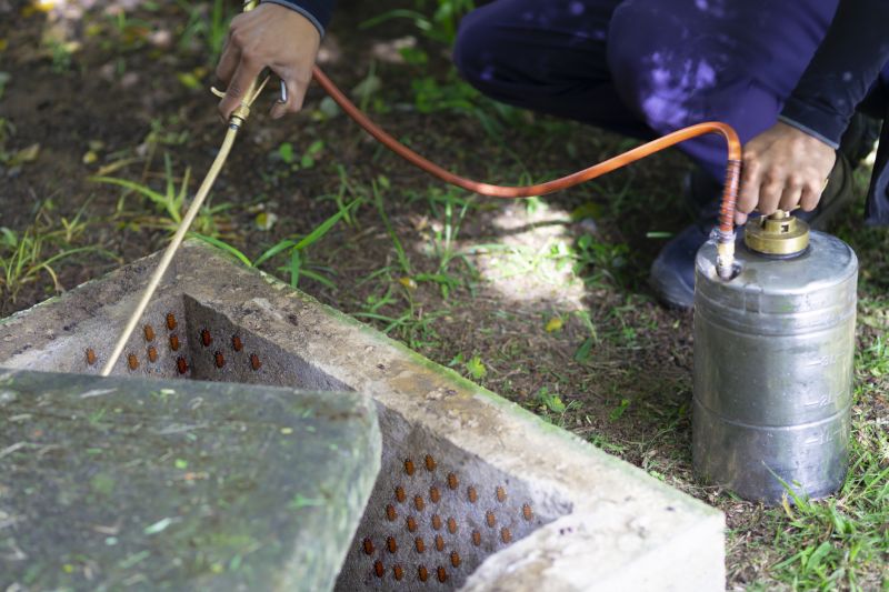 Spider Fumigation Service in Tampa, FL